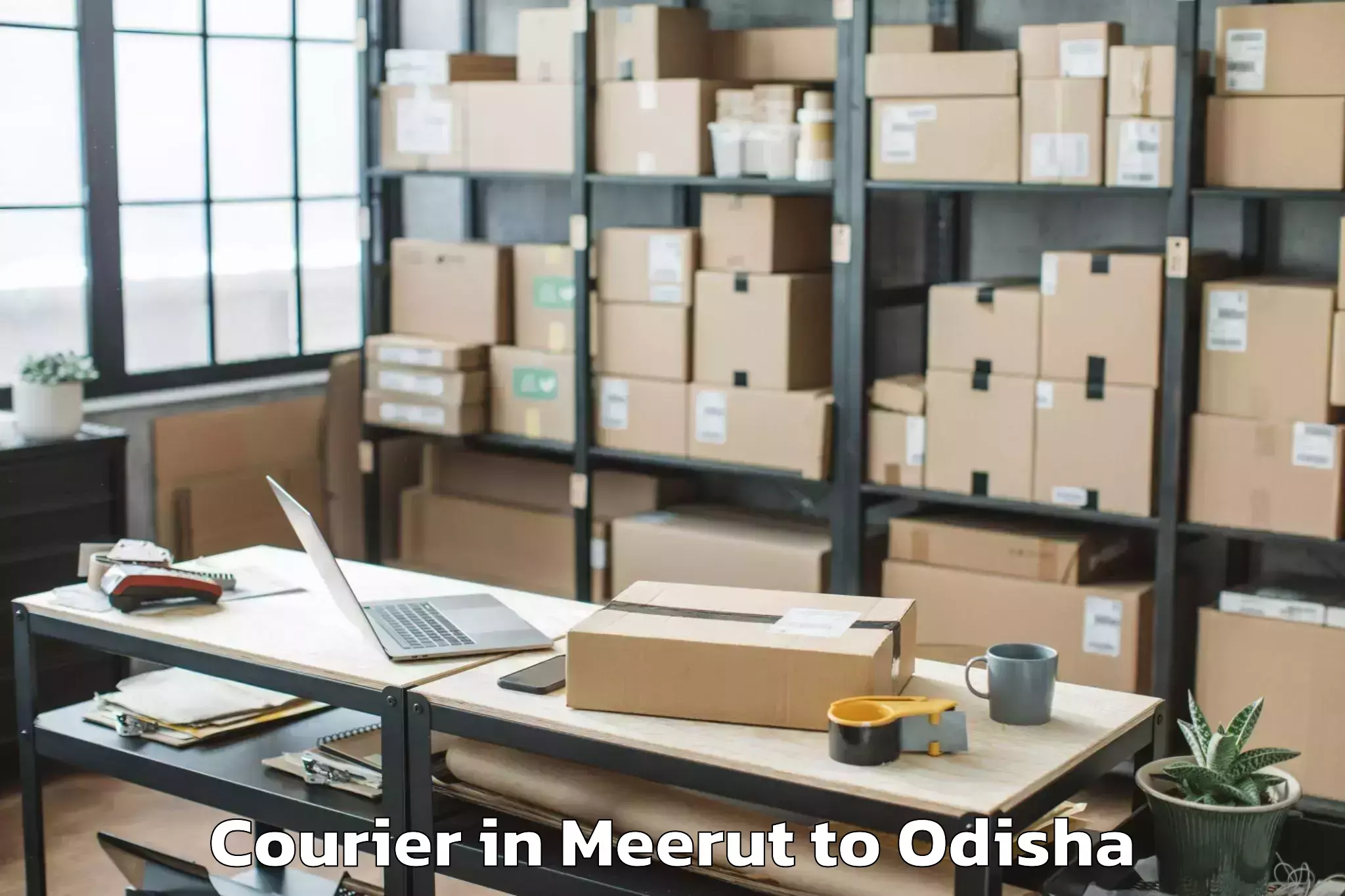 Book Meerut to Athmallik Courier